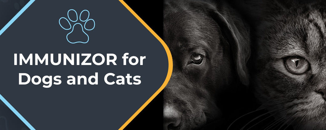 Dog And Cat Immunizor - Pet Immune System Bost | Immunizor 